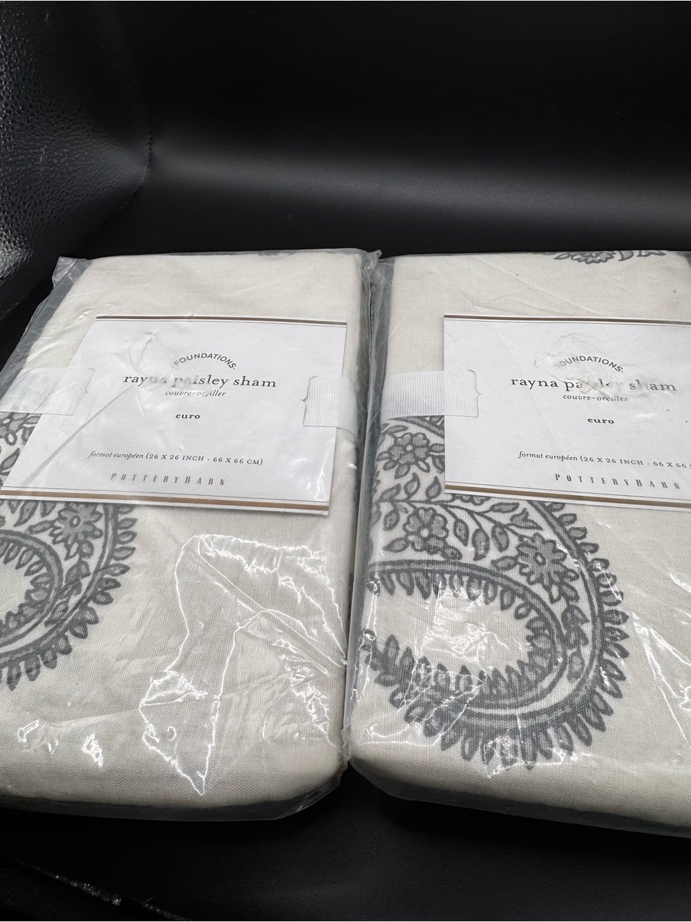 Pottery Barn Rayna Paisley Sham - Cream with Gray Paisley